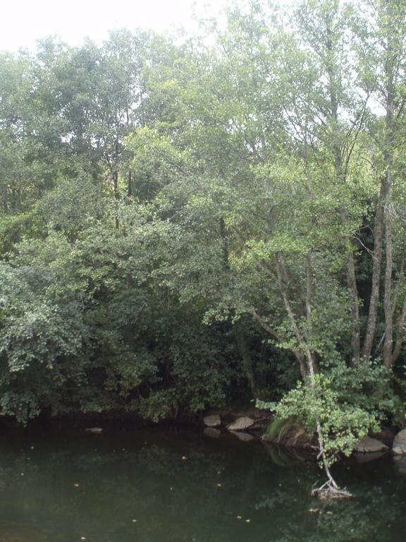 Гостьовий будинок Moinho Da Ponte Velha Браганса Екстер'єр фото
